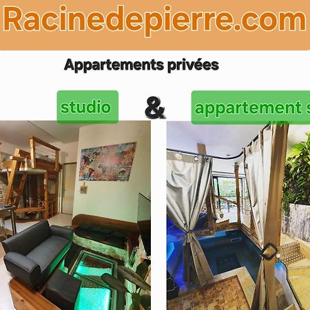 Racine De Pierre Apartment Castres  Exterior foto