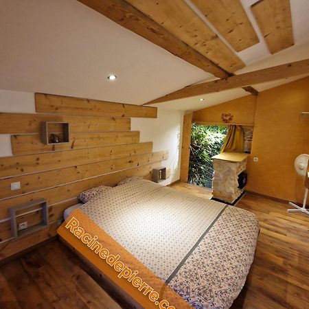 Racine De Pierre Apartment Castres  Cameră foto
