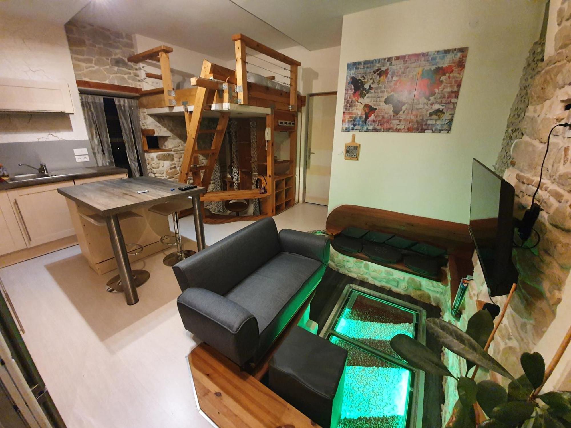 Racine De Pierre Apartment Castres  Cameră foto