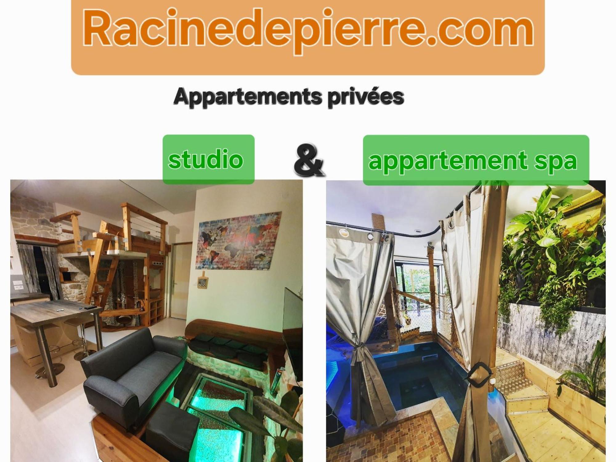 Racine De Pierre Apartment Castres  Exterior foto